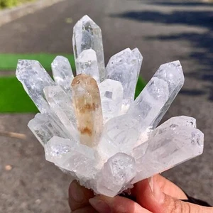 310G New Find white+yellow Phantom Quartz Crystal Cluster Mineral Specimen - Picture 1 of 23