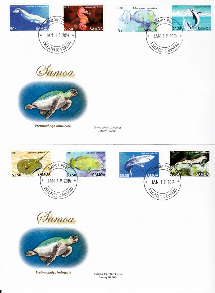 Samoa 2014 FDC Threatened Species Pt 2 12v Set on 3 Covers Marine Fish Sharks - Image 1 of 2