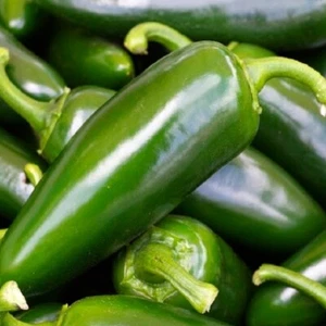 Tam Jalapeno Pepper Seeds | NON-GMO Jalapeno Pepper Seeds | Heirloom Seeds - Picture 1 of 2