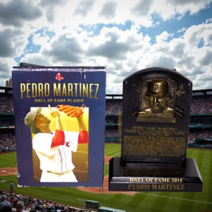 Boston Redsox Pedro Martinez 2015 Baseball Hall Of Fame Plaque Golds Horseradish - Picture 1 of 8