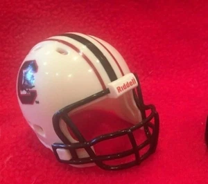 Riddell pocket pro football helmet South Carolina Gamecocks REVOLUTION style - Picture 1 of 1