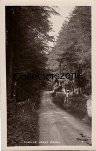 Wass Bank The Avenue North Yorkshire  Real photo Postcard unposted - Foto 1 di 2