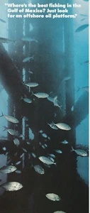 Printed ad1979 National Geographic Gulf Oil Corporation H.E. Braunig Fish Mexico - Picture 1 of 6