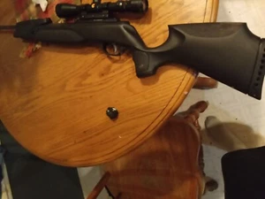 gamo swarm magnum Pro 10x gen3i - Picture 1 of 6