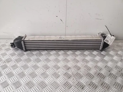 INTERCOOLER MINI (BMW) COUNTRYMAN R60 2015 2.0 DIÉSEL - Imagen 1 de 3