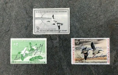 Migratory Bird Hunting Duck $2 Stamps1956 (MLH) 1957 & 5$ 1973(signed LH/nogum) - Image 1 of 4