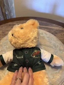 Stuffed Plush Coach Bear Minnesota Wild Hockey NHL Teddy 14" New With Tags - Picture 1 of 4
