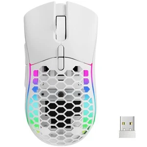 Souris sans Fil RGB Souris Poids Léger Rayon de Miel DPI Ajustable 14 Modes d... - Afbeelding 1 van 8