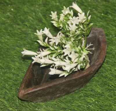 Antiguo tazón de especias/comedor tribal con forma de barco tallado a mano de madera de la década de 1860 8578 Foto 1 de 4