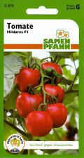 Tomate Hildares - ertragreicher F1-Hybride, sehr früh, resistent - Tomaten Samen