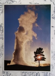 Foto postal en erupción del antiguo géiser fiel de Yellowstone National Park 1992 - Imagen 1 de 2