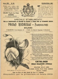 PAOLO RADAELLI MILAN - ANTIQUE SPECIAL CATALOG FLOWERS AND PLANTS -1905-1907 - Picture 1 of 3
