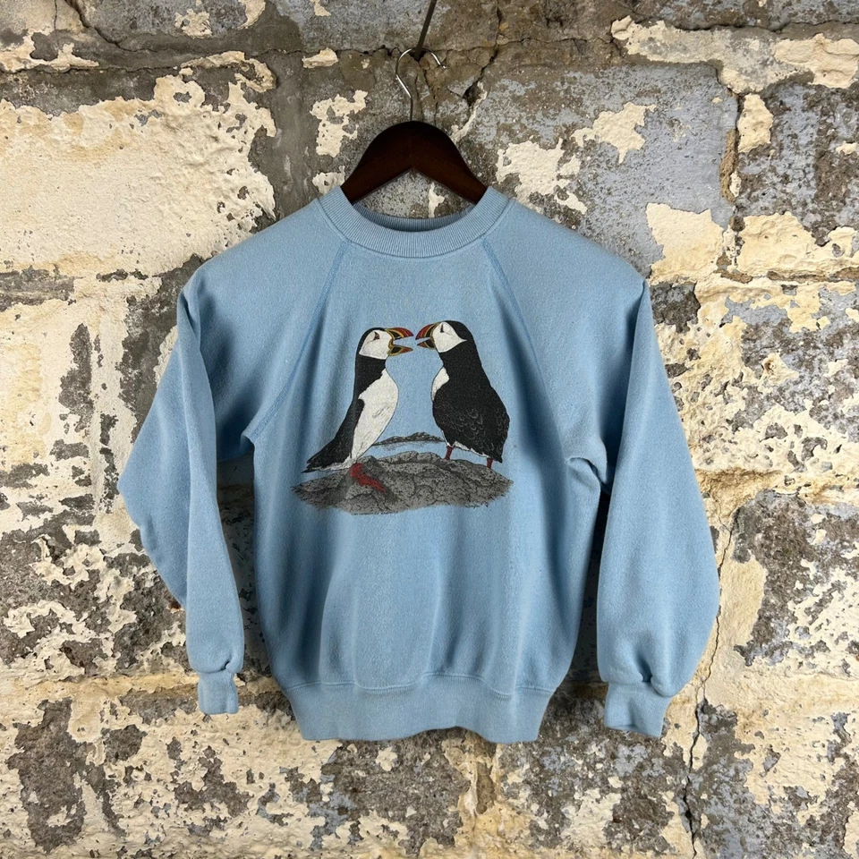 Sudadera De Colección Años 80 Hanes Puffins Animal Raglán Azul Claro Juvenil Grande Foto 1 de 4