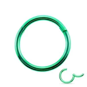 16G Surgical Steel Nose Ring Septum Clicker Hinge Segment Ear Helix Tragus Hoop - Picture 1 of 16