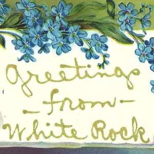 c.1915 White Rock Kirkwood Lancaster Co. PA Floral Flocking Greeting Postcard - Picture 1 of 3