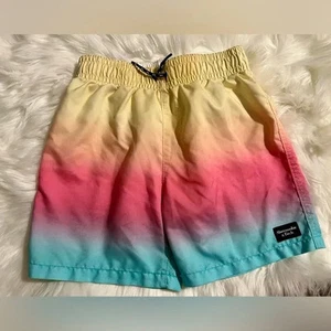 Abercrombie and Fitch Boys Swim Trunks Size 9/10 - Picture 1 of 3