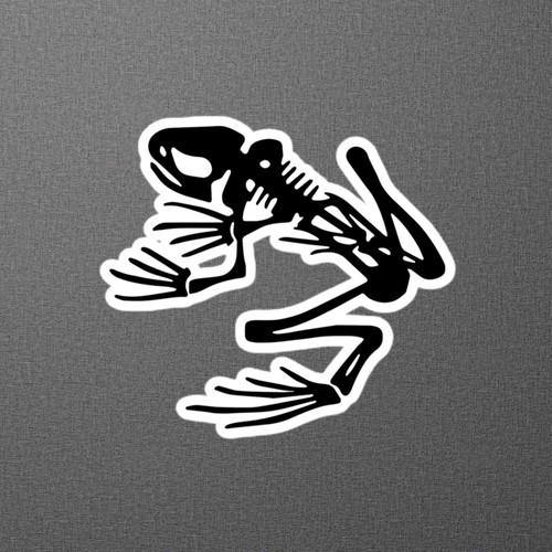 Navy Seals DEVGRU US Seal Team Frog Skeleton Sticker, 4