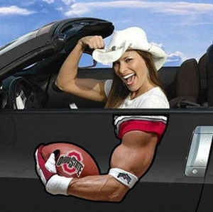 OSU NCAA Ohio State Car Truck Arm Magnet Bright Colors - Picture 1 of 2