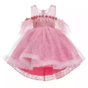 Luxury Embroidered Feather Princess Birthday Wedding Flower ๐ธ Dress 5046 - Picture 1 of 8
