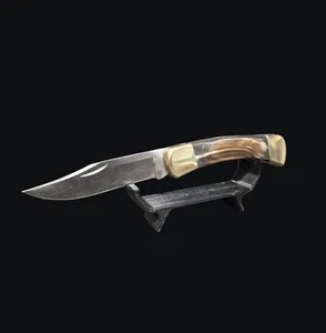 Custom Buck 110 Folding Knife Hunting Buffalo Horn Handle Scales Idaho 2005 - Picture 1 of 23