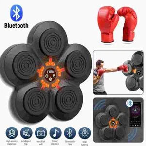 Wall Punch Boxing Training Target Music Combat Trainer Fighting Sports w/ Gloves - Picture 1 of 21