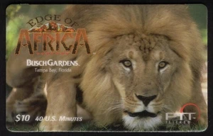 $10. Tarjeta telefónica Edge of Africa - Lion: Busch Gardens (Tampa Bay, Florida) - Imagen 1 de 1