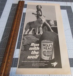 1972 Print Ad Art Sexy Wolf's Head Run with the wolf motor oil pinup girl bikini - Picture 1 of 3