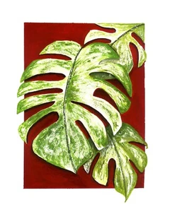 Monstera Thai Constellation Botanical Fine Art, Print for Cheese Plant Lovers - Picture 1 of 4
