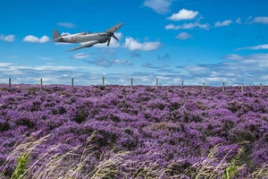 Supermarine Spitfire, PR Mk XI, PL965 canvas prints various sizes free delivery - Picture 1 of 2
