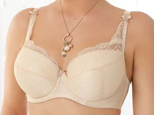 Nessa ABBI II Damen BH Gr.65-100 D-M cup Gepolstert mit Bügel Große Größen Beige - Picture 1 of 8