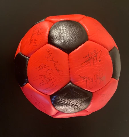 Buffalo Stallions Autographed MISL Team Soccer Ball Cover