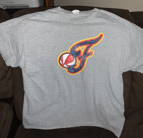 Vintage WNBA Official Indiana Fever Team Logo Graphic Shirt Size XL Gray Cover