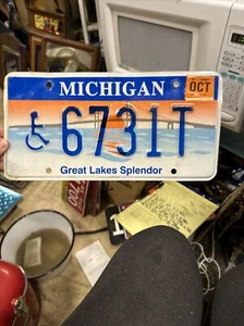 Around 2007 Michigan Handicapped License Plate 6731T Great Lakes Splendor - Picture 1 of 18