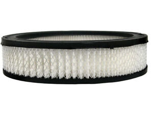 For 1979-1980 Dodge B300 Air Filter AC Delco 63228MVHG Gold -- New