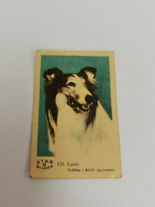 LASSIE STAR BILDER D#126 - 60's DUTCH GUM CARD