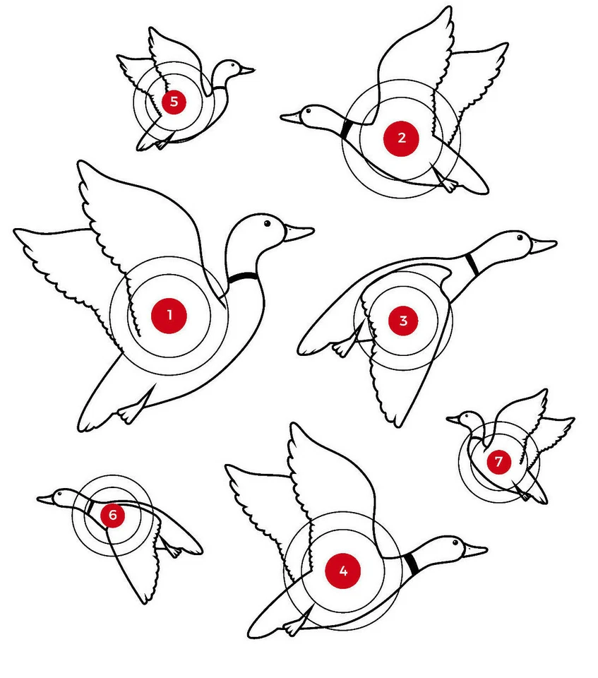 Splatter Target A4 Shoot Rifle Pistol Reactive Air Cheap Targets - FREE POSTAGE - Image 1 of 1