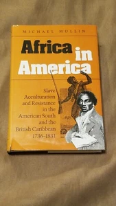 AFRICA IN AMERICA: Slave Acculturation & Resistance -Michael Mullin 1992, HCDJ - Imagen 1 de 5