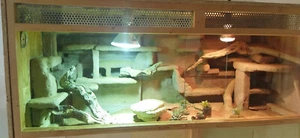 Holz-Terrarium 120x60x60 komplett: Lampen, Zubehör, Einrichtung - Bild 1 von 10