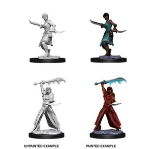 WZK73831 Dungeons & Dragons Nolzur`s Minis sin pintar W10 Mujer Humana Pícaro - Imagen 1 de 1