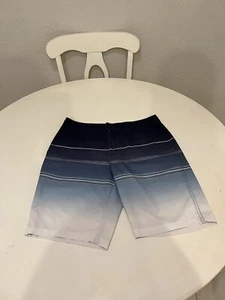 Mens Valor Board Shorts 30 Swim Trunks Gray Blue Stripe 118 - Picture 1 of 6