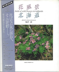 Fields of Wildflowers in Hokkaido by S Umezawa 1988 pbk ~ Japanese flora - Picture 1 of 1