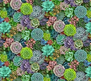 Elizabeth Studio Succulent Charm Cactus Flower Quilt Fabric by the Yard - Picture 1 of 1
