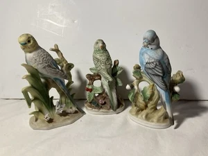 3 VINTAGE PARAKEET BISQUE PORCELAIN FIGURINES Napco - Picture 1 of 23