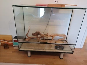 Terrarium 105x45x80cm mit Zubehör - Bild 1 von 1