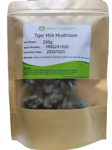 Dried Organic Tiger Milk Mushroom - Tiger Milk Mushroom Herbs 250g /8.8OZ - Picture 1 of 5