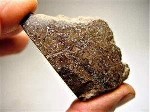 LOW PRICE! EXQUISITE DOUBLE CUT! SUPERIOR GOLD BASIN METEORITE 47.8 GMS! - Picture 1 of 8