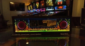 No Fear: Dangerous Sports Ultimate Lighted Speaker Panel - Picture 1 of 4