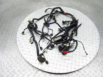 2013 11-13 Ducati Monster 1100 1100S Main Engine Wiring Harness Wire Loom Cable - Image 1 of 4