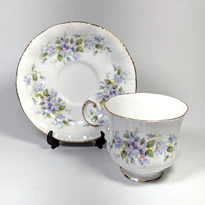 UK Paragon Bone China Englische Blumen Veilchen Tasse & Untertasse Set - SIEHE BESCHREIBUNG - Bild 1 von 14
