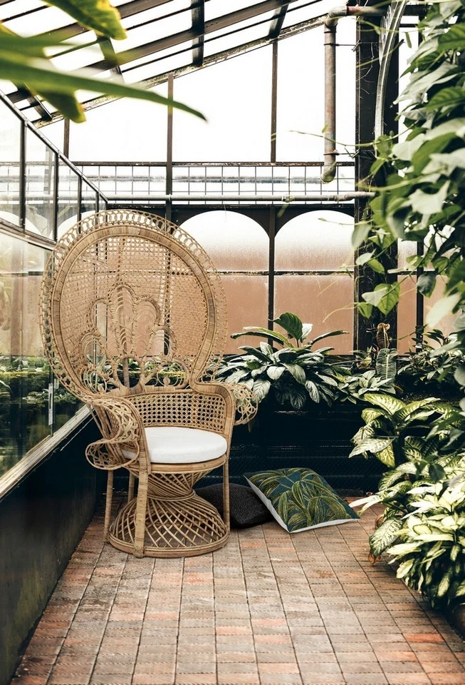 Poltrona Pavone Peacock Rattan Naturale Poltrone Giardino Esterno Interno - Immagine 1 di 4